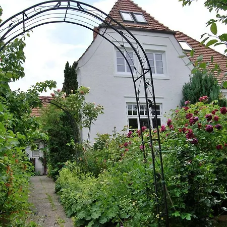 Apartment Rittersporn