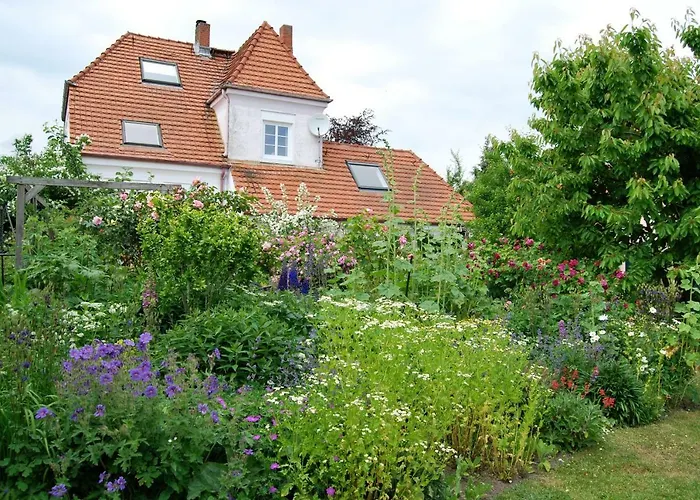 Rittersporn * Cismar